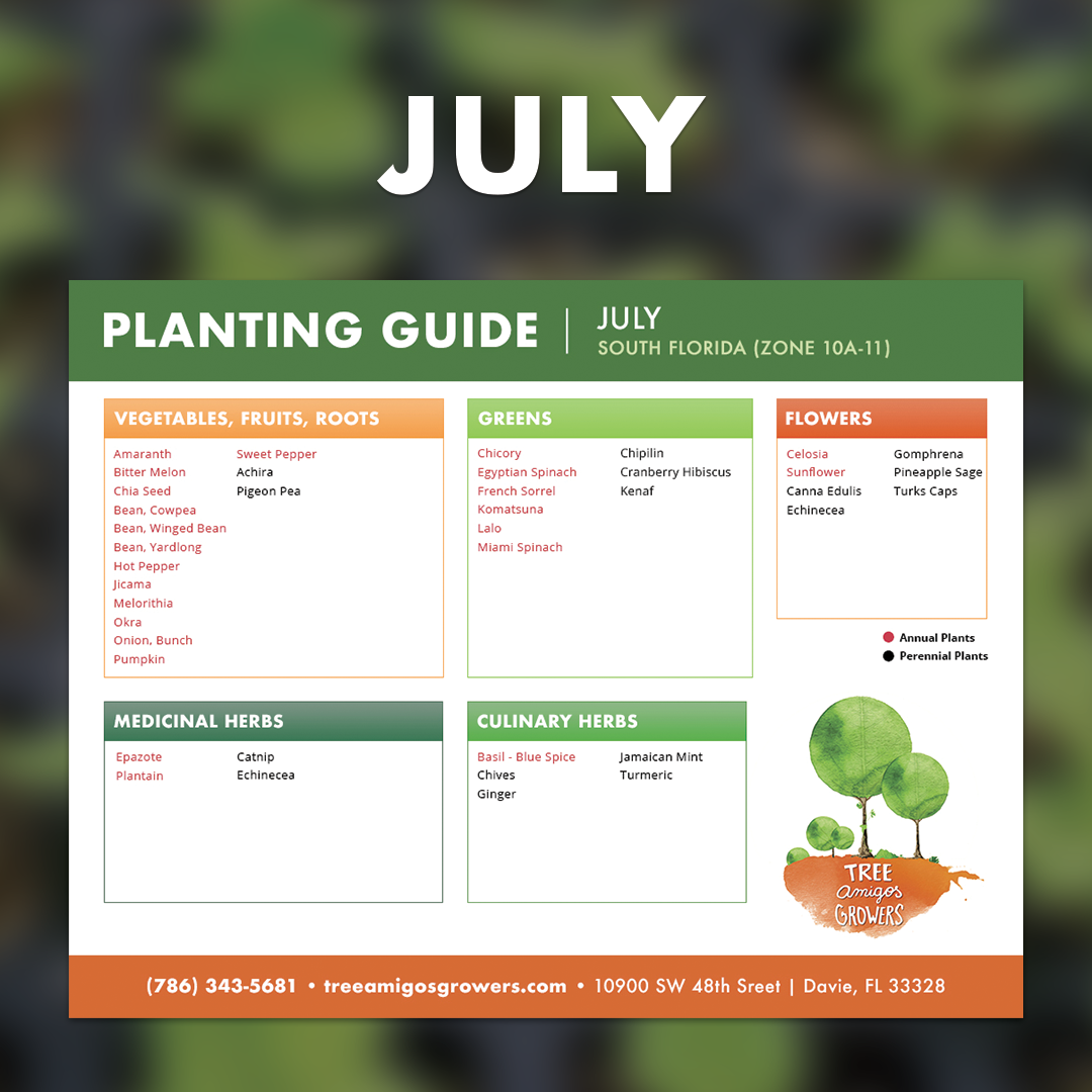 south-florida-planting-calendar-tree-amigos-growers